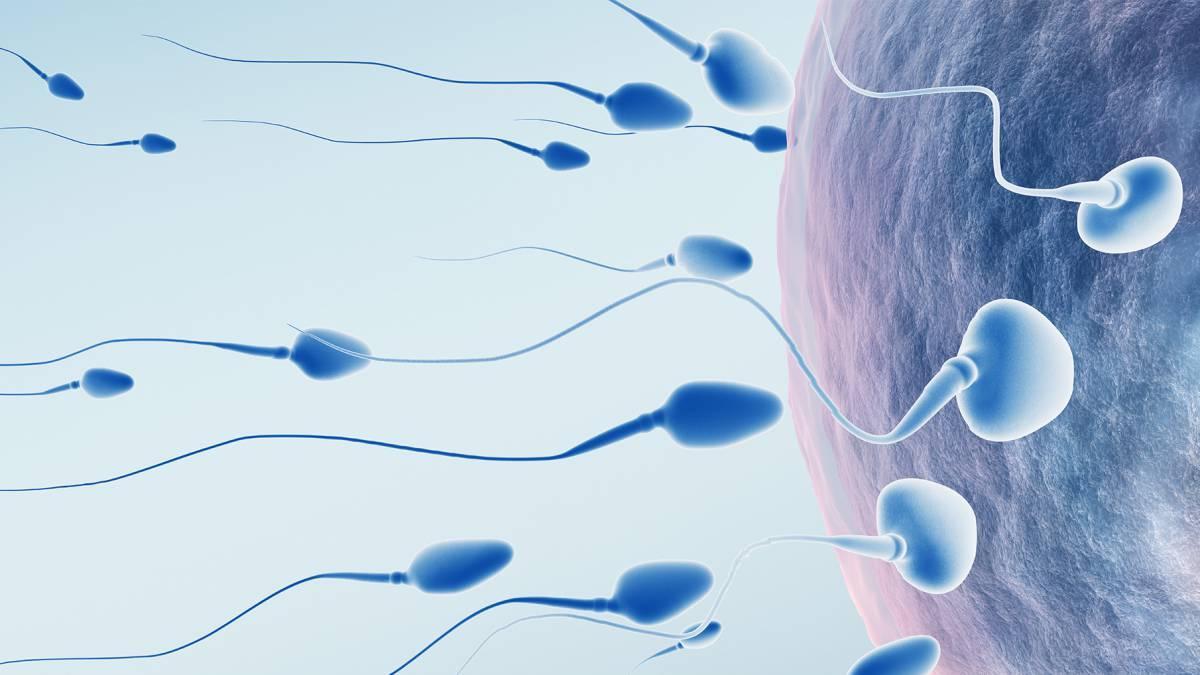 mejorar la fertilidad masculina naturalmente