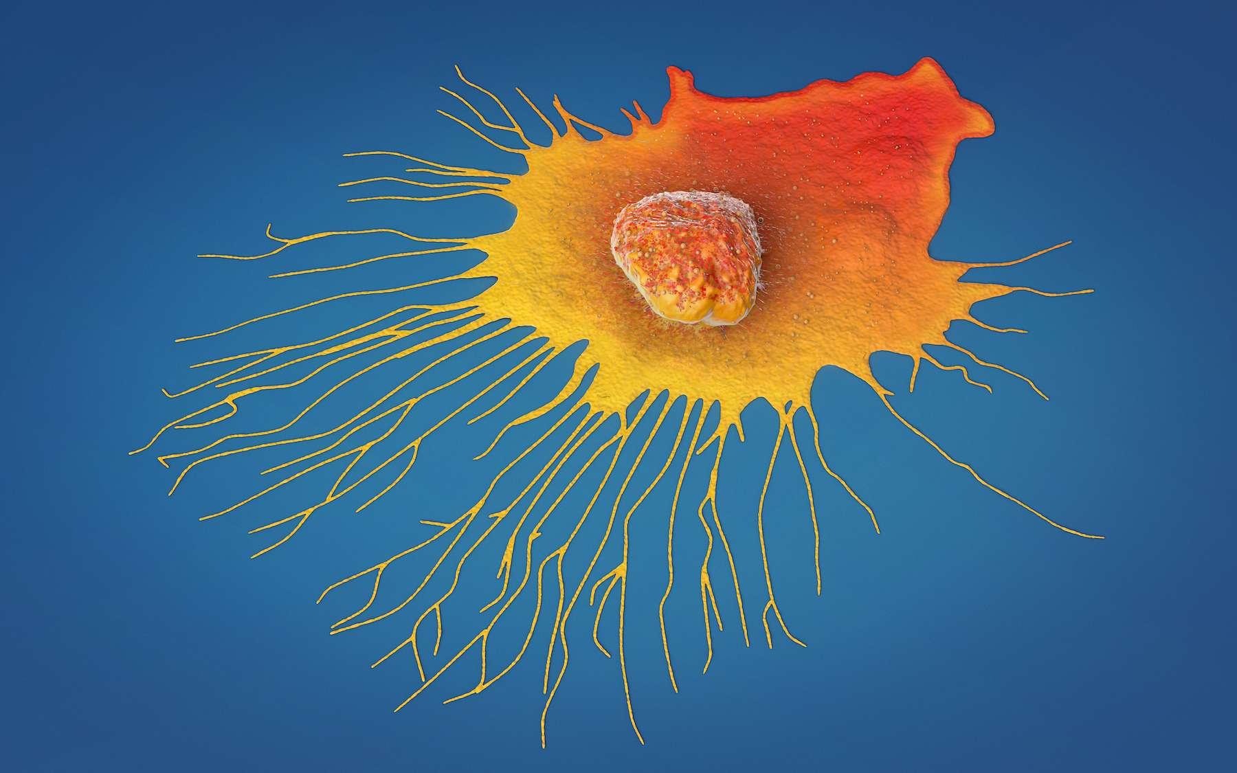 500dd0e1a2 50157224 cancer christoph burgstedt adobe stock