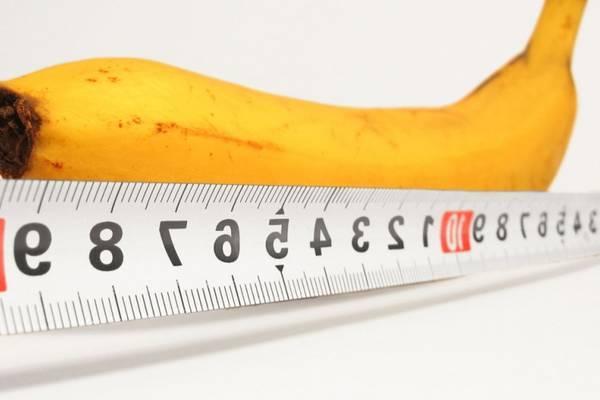 MEILLEURES PLANTES POUR AUGMENTER VOTRE PENIS