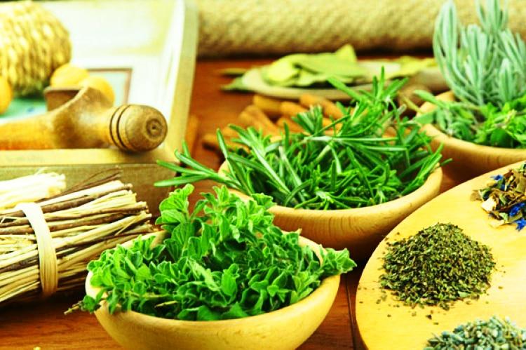 95 remedios caseros con plantas medicinales