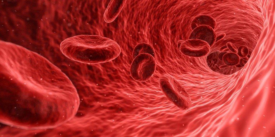 meilleures plantes contre la drépanocytose