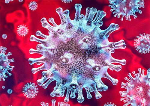 AMAZING MEDICINAL PLANT TO TREAT HEPATITIS