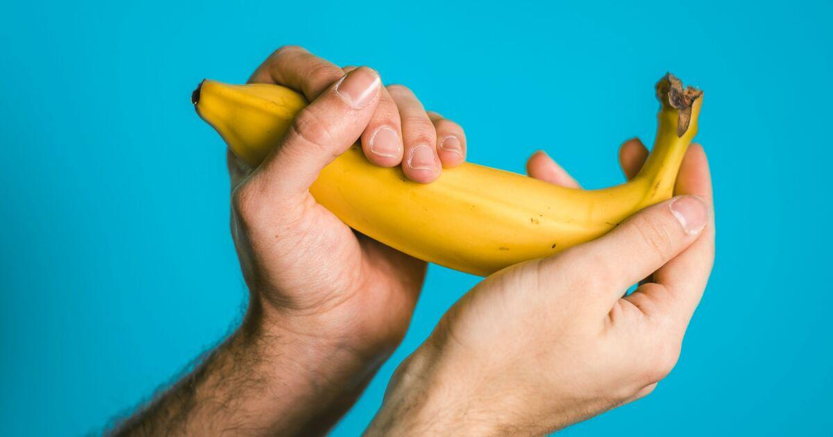 Grossir penis 
