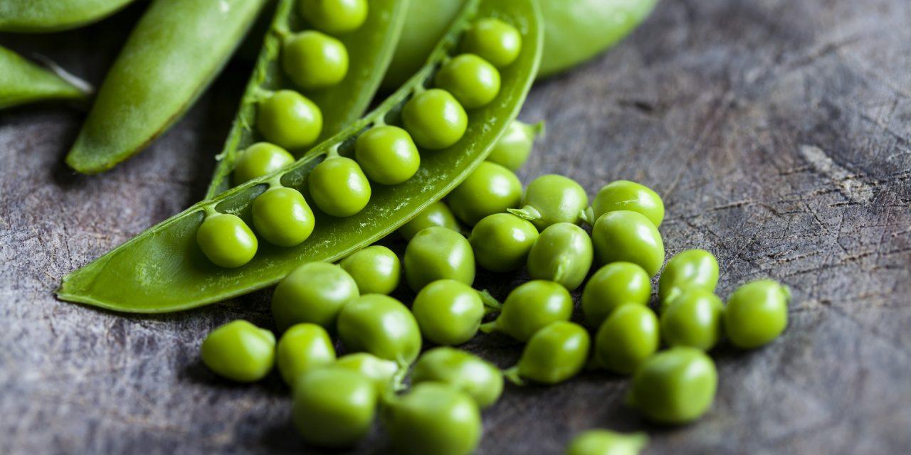 Guisantes 1280x640