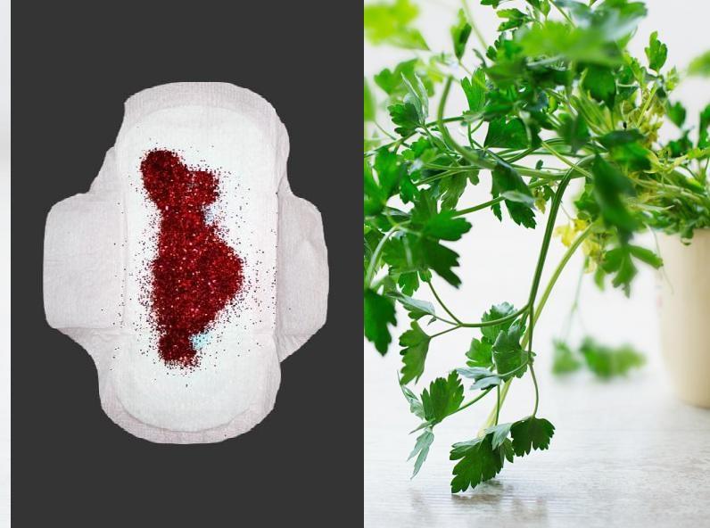 Herbes pour provoquer les regles