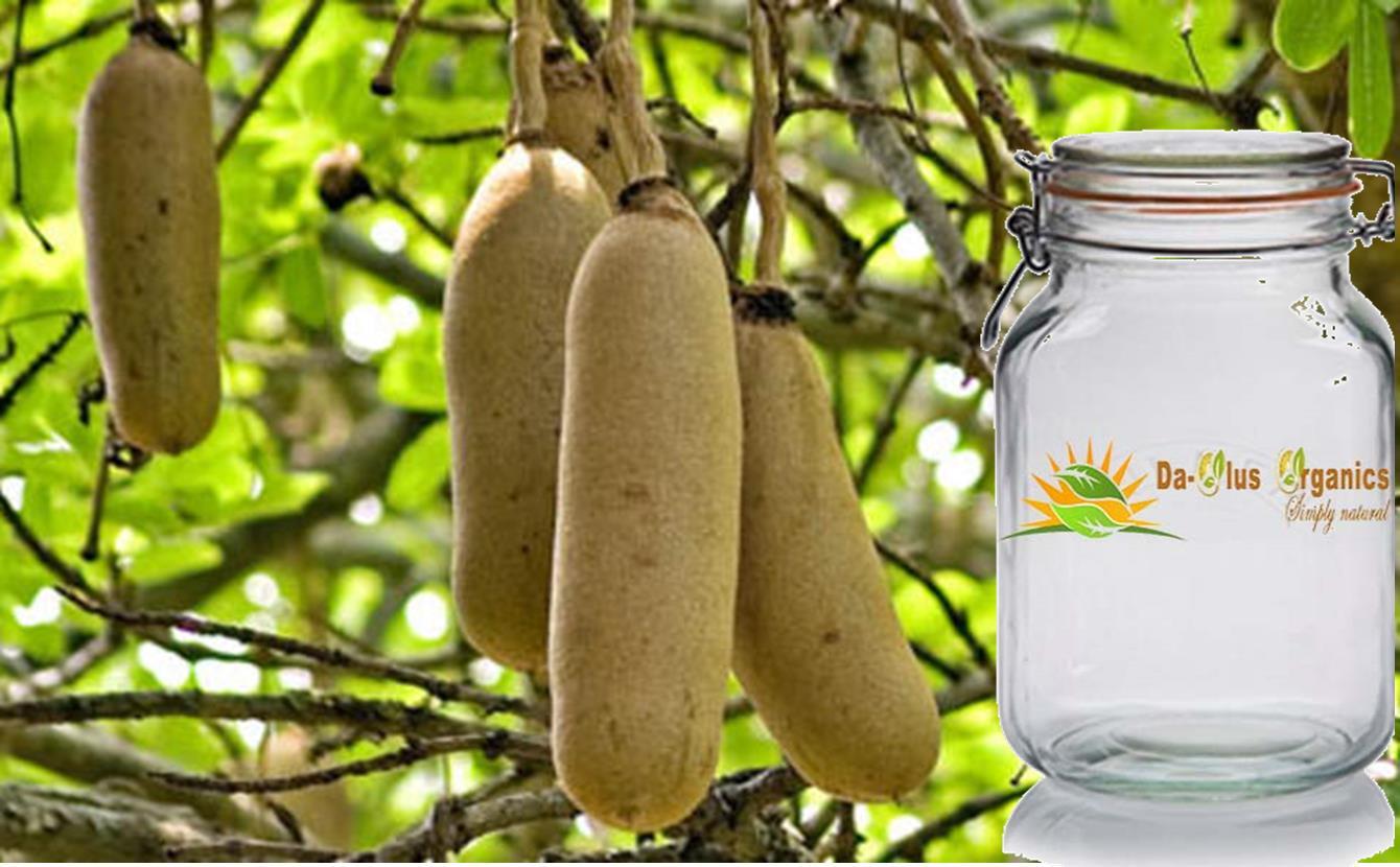 kigelia africana to increase penis naturally