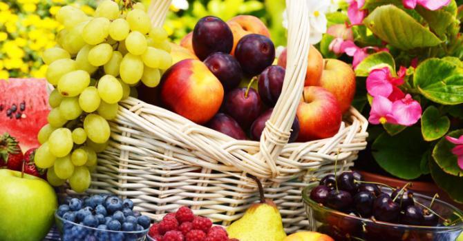 Les fruits tous lights 2