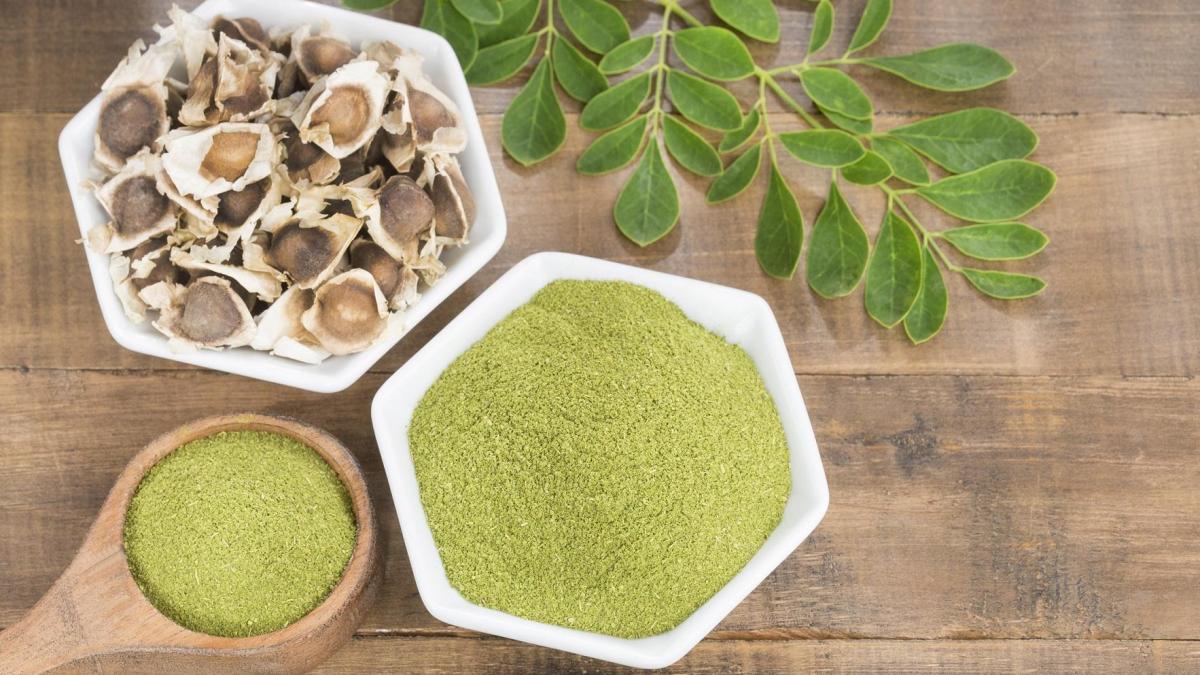 Moringa and hepatitis b virus