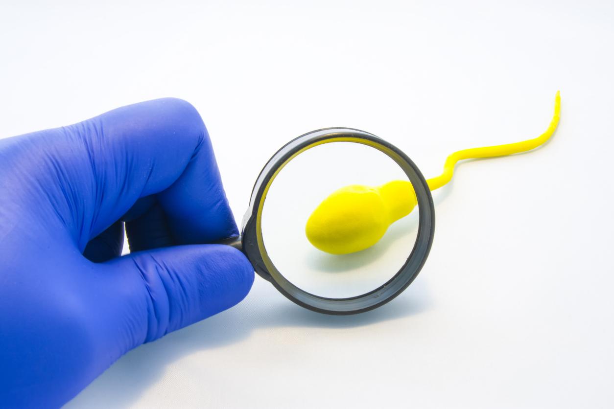 Oligospermie severe traitement naturel