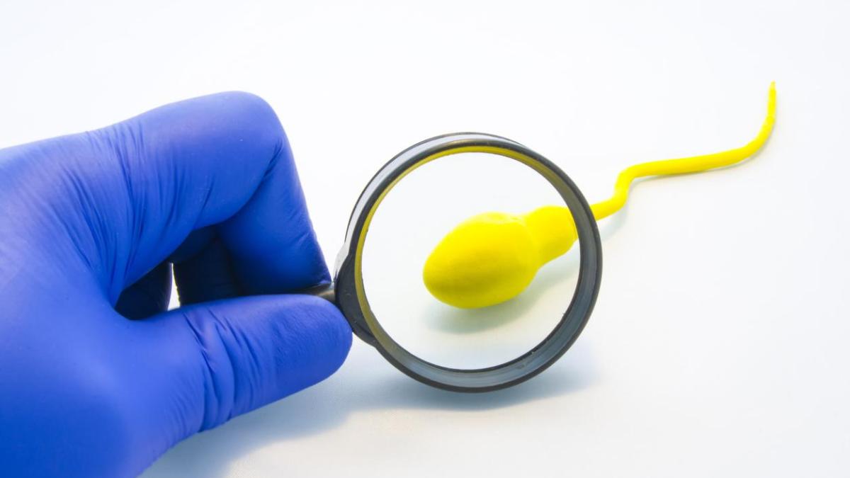 Guérir naturellement de l'oligospermie et faiblesse sexuel