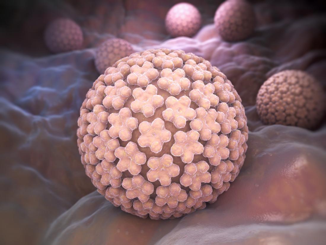 Papilloma virus which may cause genital warts
