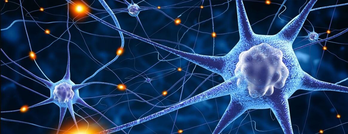 Enfermedad de Charcot: causas, síntomas y remedios naturales