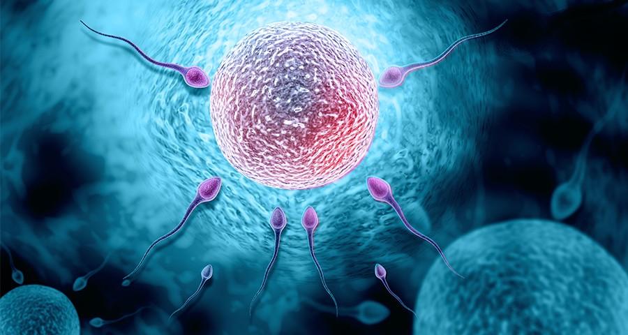 Preguntas fertilidad 900x480