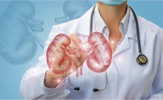 Rinones 1068x600 570x350