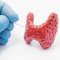 Hypothyroidism: let's talk about diet and nutrition