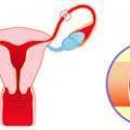 How to use castor oil to unclog fallopian tubes