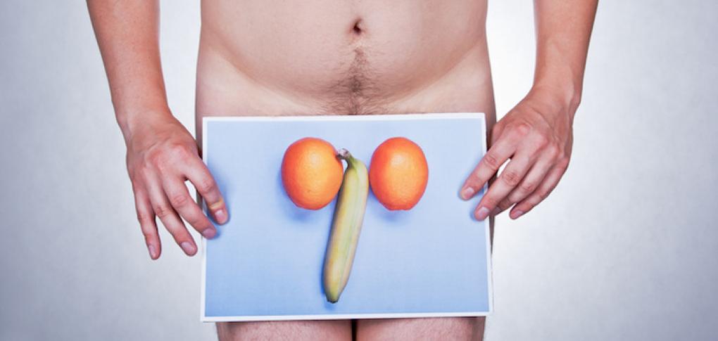 Testicules sexe homme