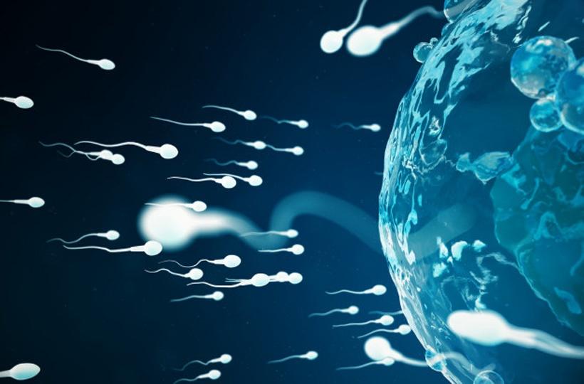 TERATOSPERMIA TREATMENT: Can it be cured?