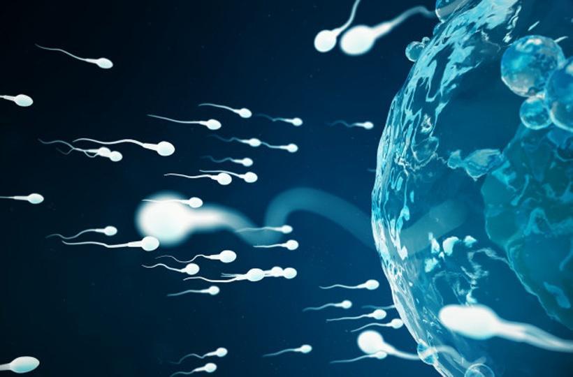 TERATOSPERMIA TREATMENT: Can it be cured?