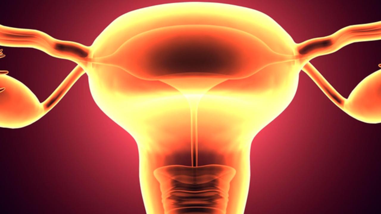 Trompas de falopio 1280x720