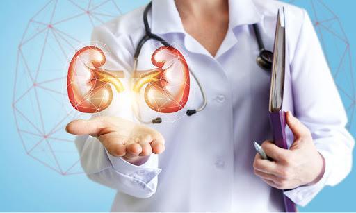 HERBS FOR KIDNEY FAILURE
